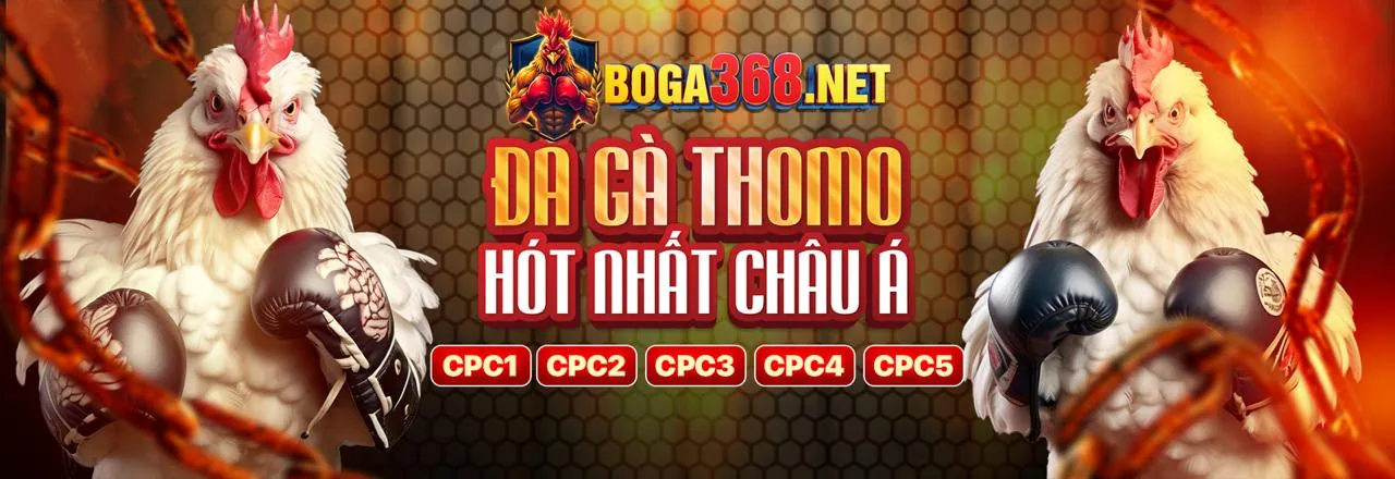 Đá gà trực tuyến kịch tính tại Luck8222